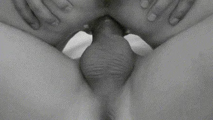 A wet creampied pussy