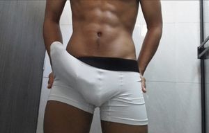 Monster cock bulge