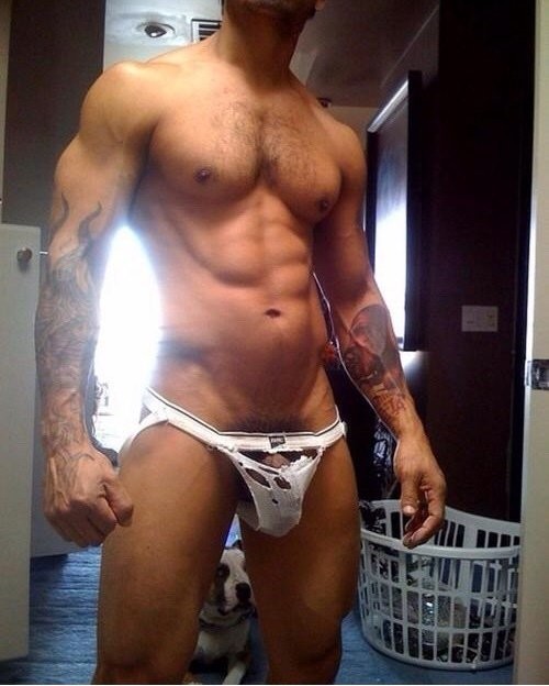 Shredded. Just needs a touch of help to be TOTALLY shredded.