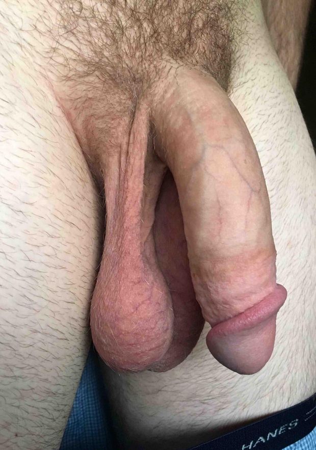 Big limp cock and balls