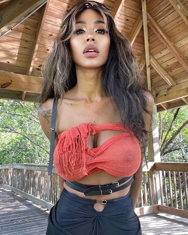 Beautiful ebony queen see-through top
