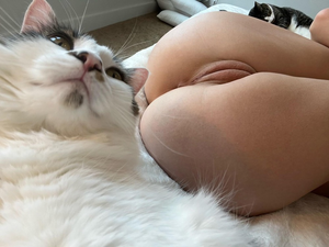 2 pussy's