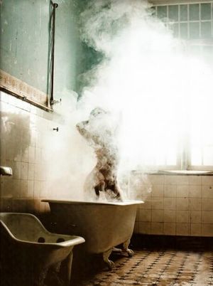 Steamy