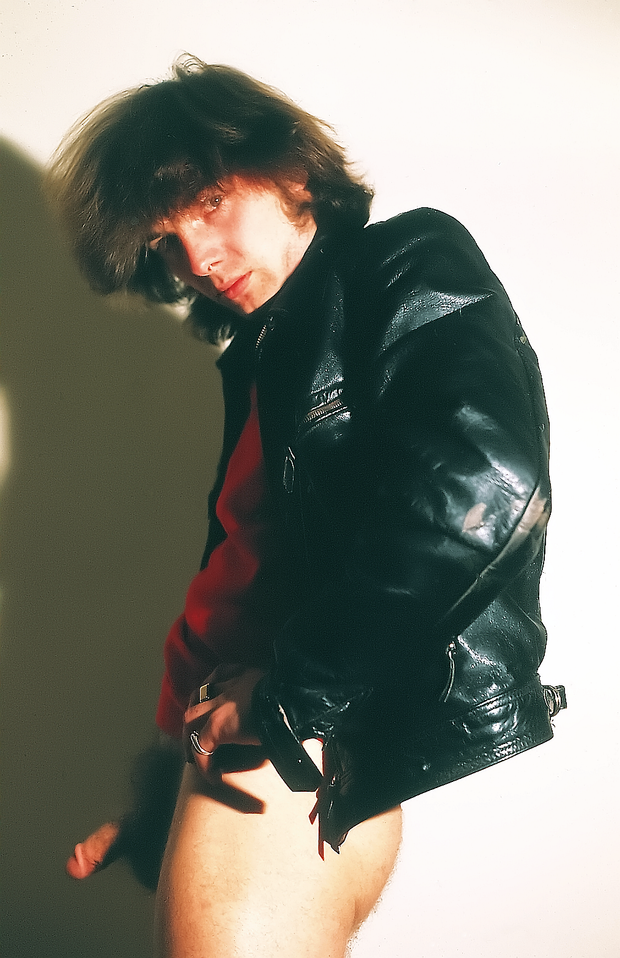 LeatherLonghair shy and useful