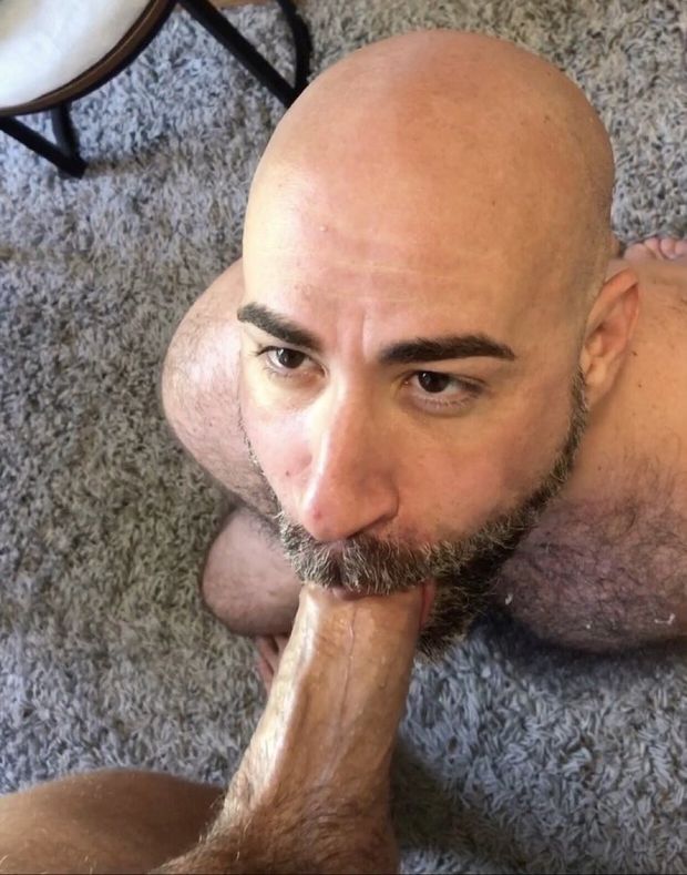 DAMON ANDROS