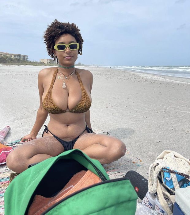 sexy beach companion