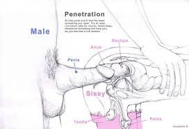How to properly fuck, breed & seed a fag!