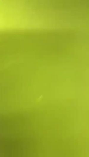 What's going on in there?!