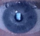 Looking at it