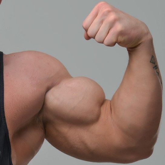 macho power