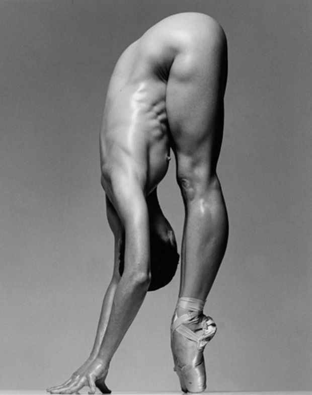 Muscle