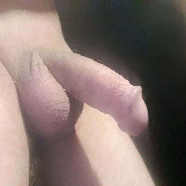 Aussie cock