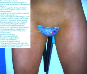 FemControl - Vaginal restaint unit.