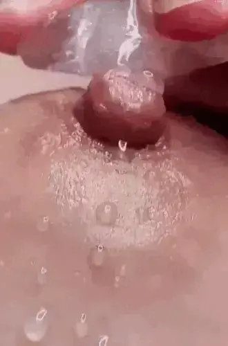 Ice tits