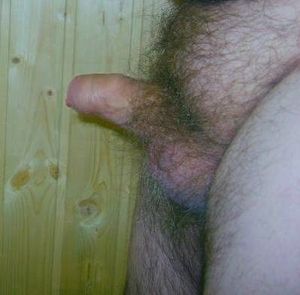 16 - erection in the sauna