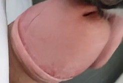 dickheadondogtongue