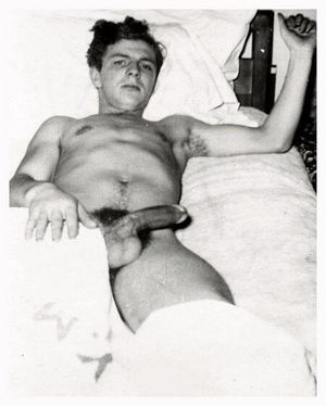 Vintage morning wood