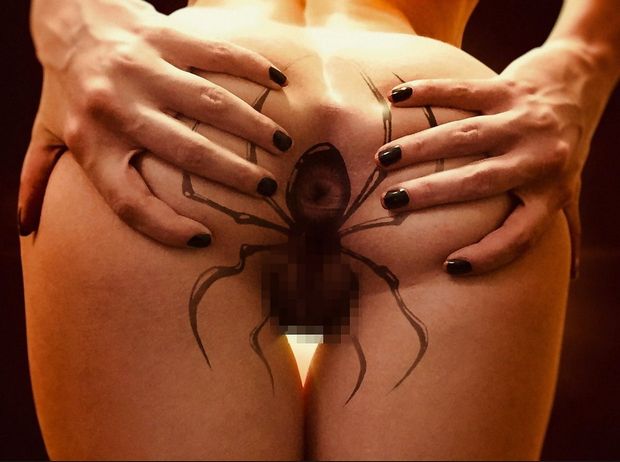 Black widow spider