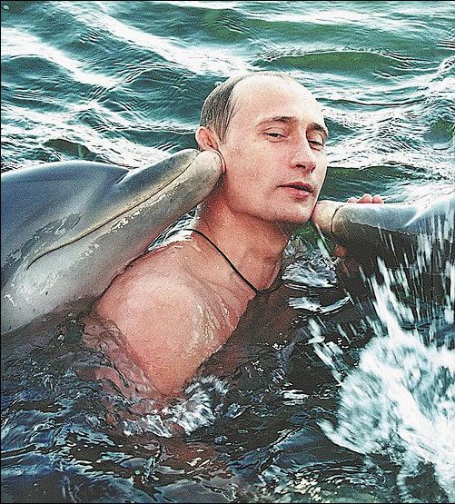 Sexy heart-throb sensitive supreme leader photo'd just candidly playing with some dolphins again. He couldn't be a warlord, look how sweet