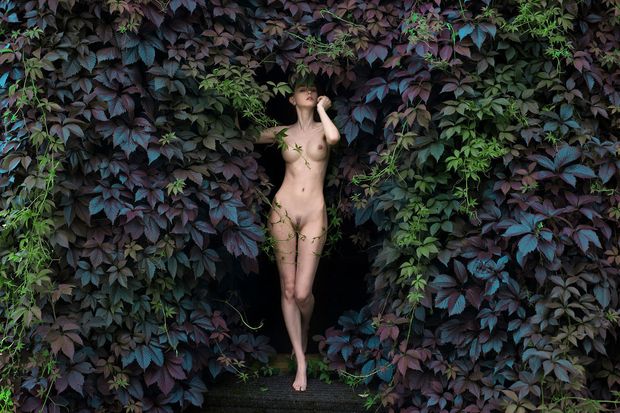"Shady Garden 4" by Gennady Lange