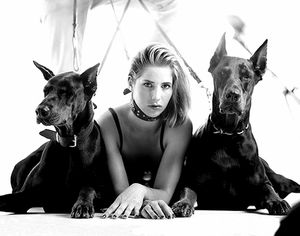 Two dogs and their bitch