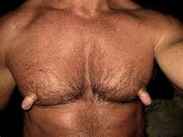 Gays know real tit fun.