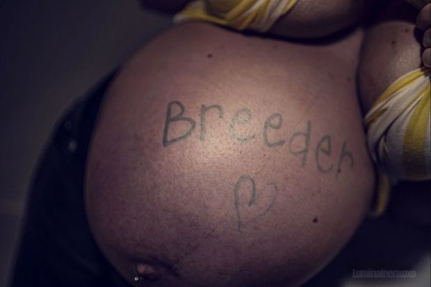 Breeder