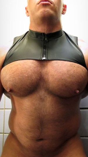 A purrfuct set of homo-boobs