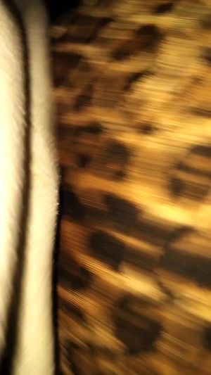 Hot BBW grinding on me