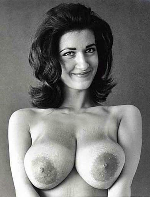 Black and white boobies