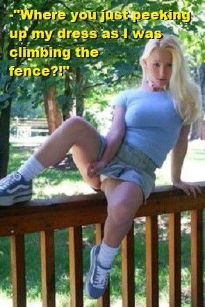 Fence