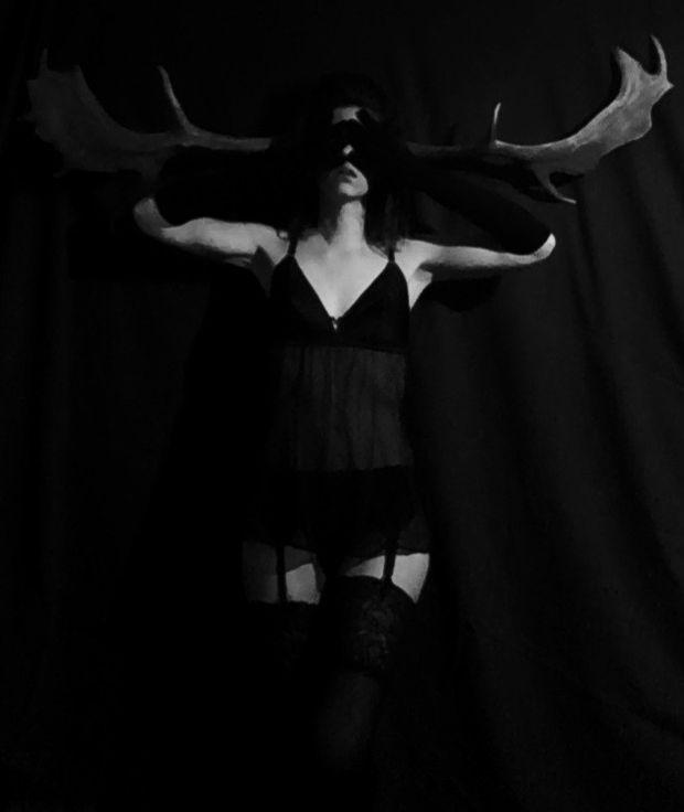 Venus in Stags