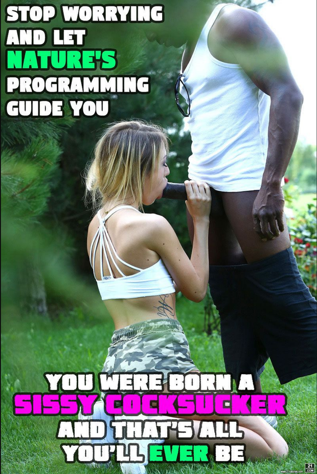 Let Nature's Programming Guide You