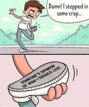 I stepped in some crap