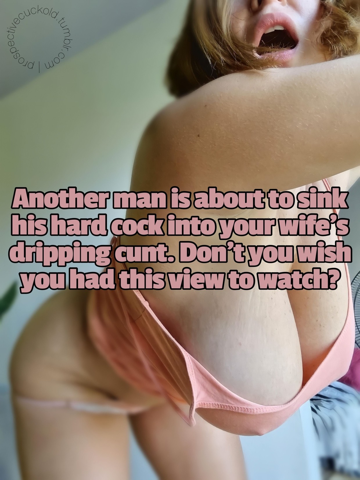 I want this view