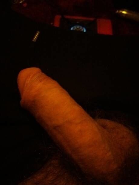 My cock ready for your pleasure xx