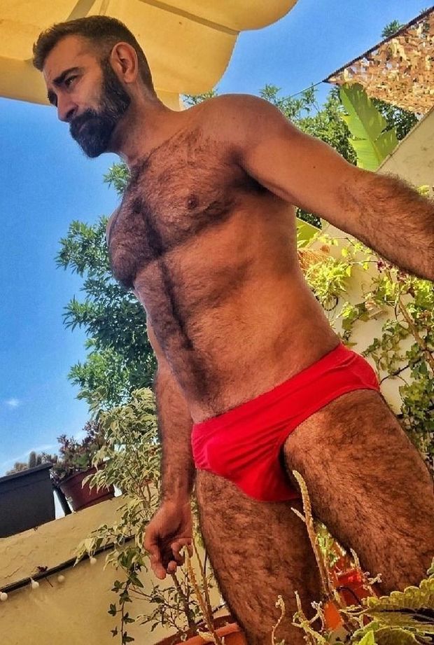 mediterranean hairy speedo men