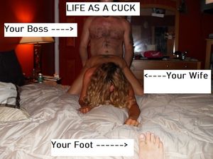 Cuckold Life