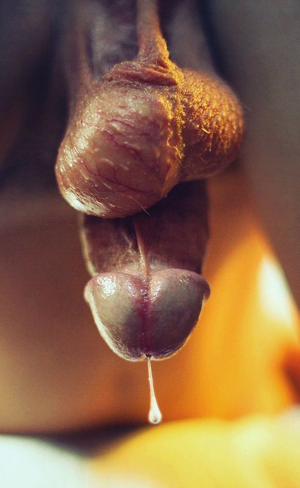 balls cock and cum