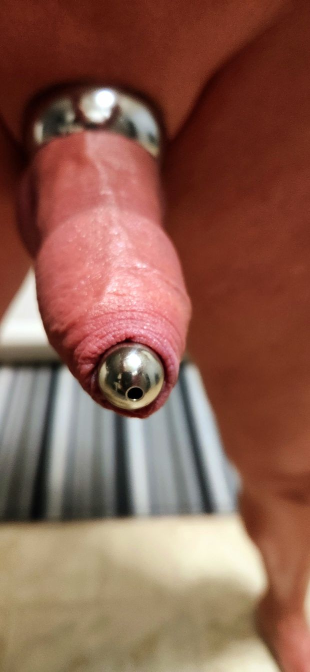 Hard, plugged cock ready to start the day! ????