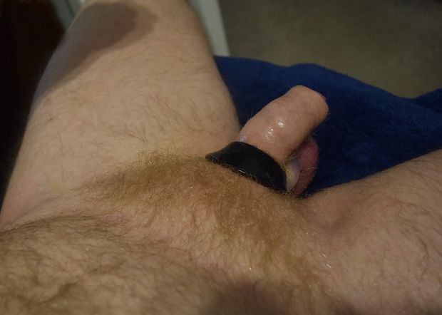 SMC33..Oiled Ginger Cock