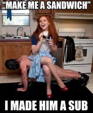 He told me to make him a sandwich so I made him a sub