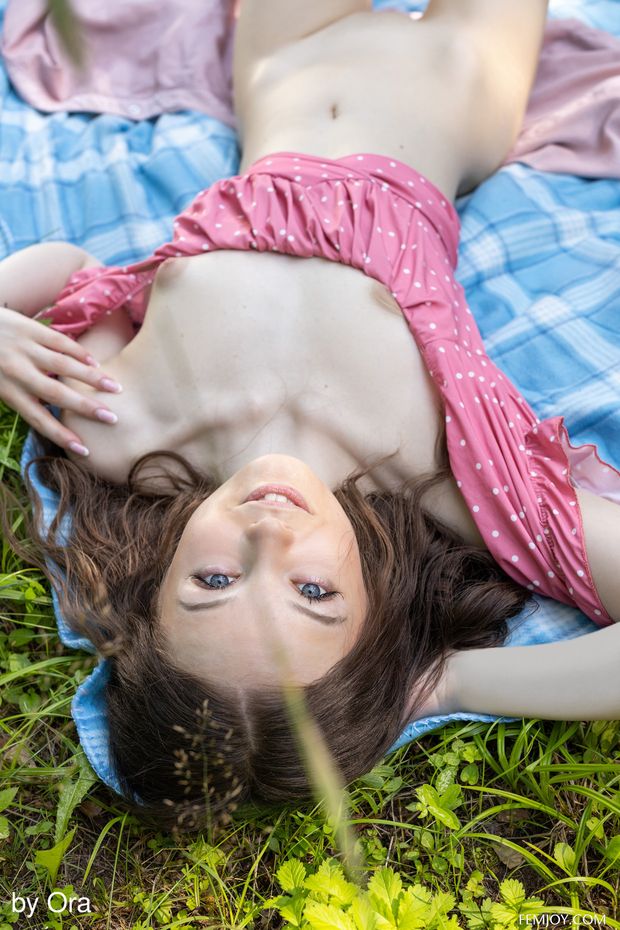 Model : Shea
