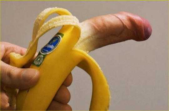 Art renditions