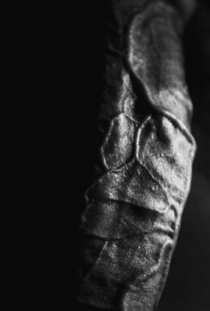 playing with light and shadow. Like it ?