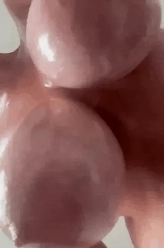 Boobs