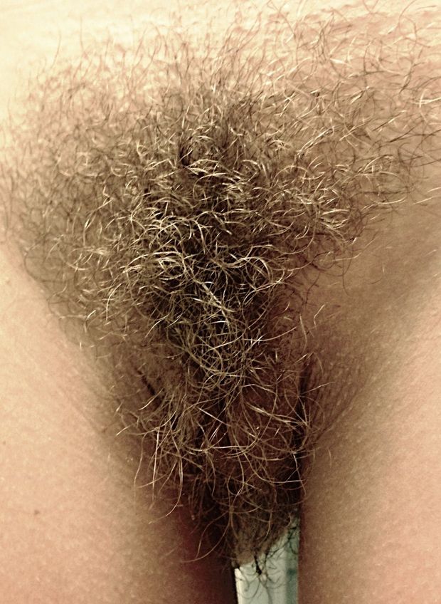 Bush