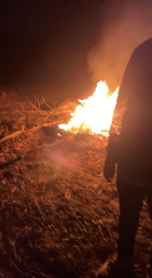 Crazy night