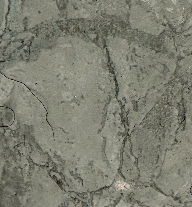 Bathroom pussy tile
