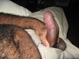 Thick Mature hairy Morrocan Cock